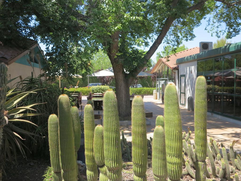Camping La Pineda De Salou Ξενοδοχείο Εξωτερικό φωτογραφία
